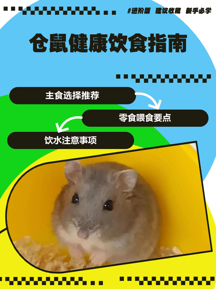 百度贴吧