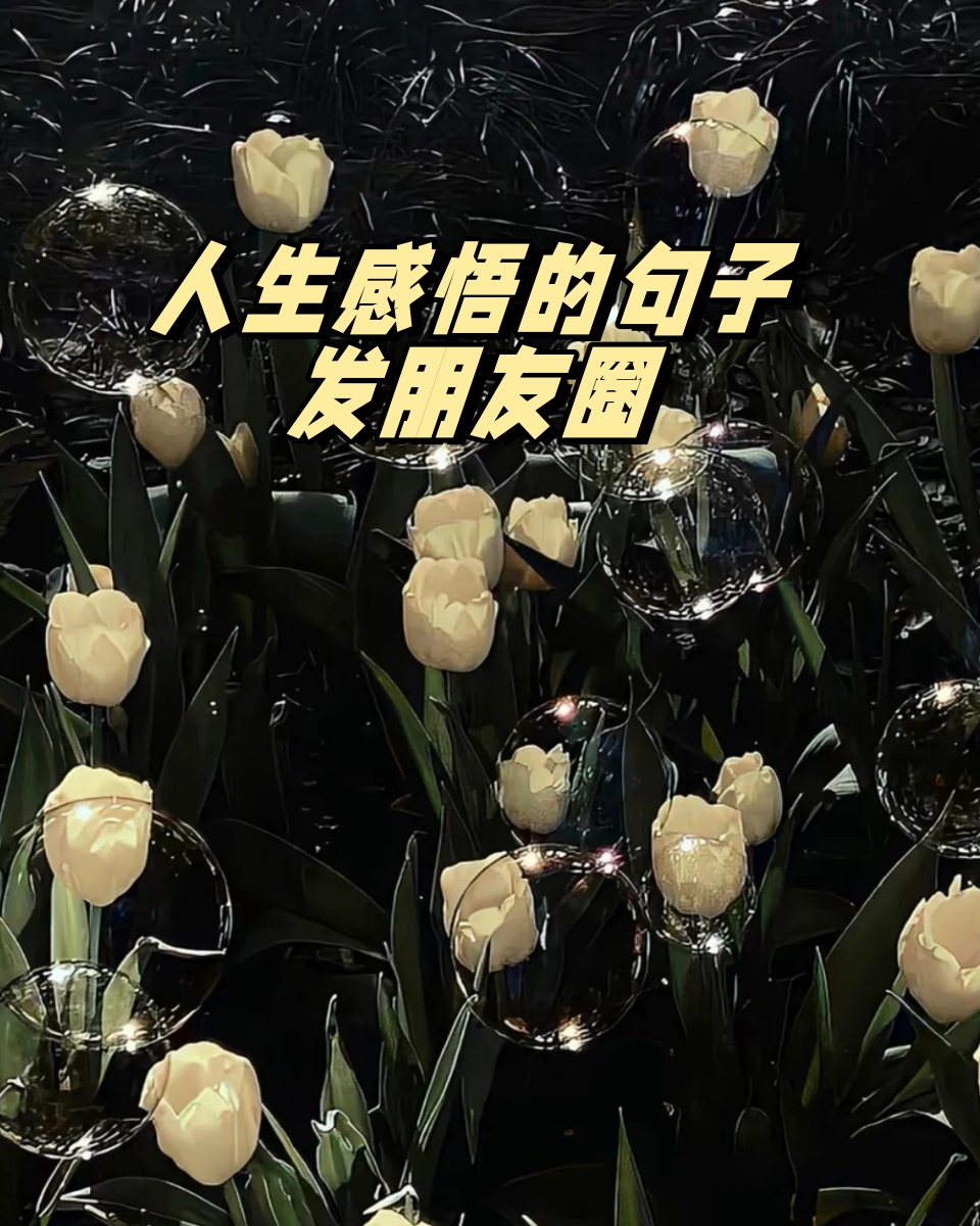 比较简单的发朋友圈的句子